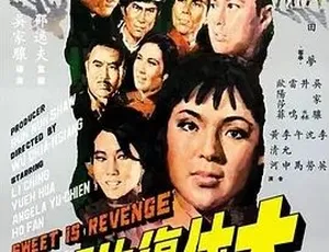 1967 经典武侠《大侠复仇记》：全 1 集 4.52G 百度下载-小文资源网
