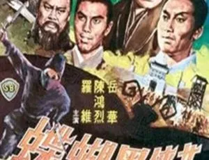 1968香港经典：女侠黑蝴蝶 国语中字MKV 1020MB 百度网盘资源-小文资源网