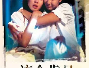 1988 香港经典《流金岁月》：国粤双语中字 1.45GB 百度网盘资源-小文资源网