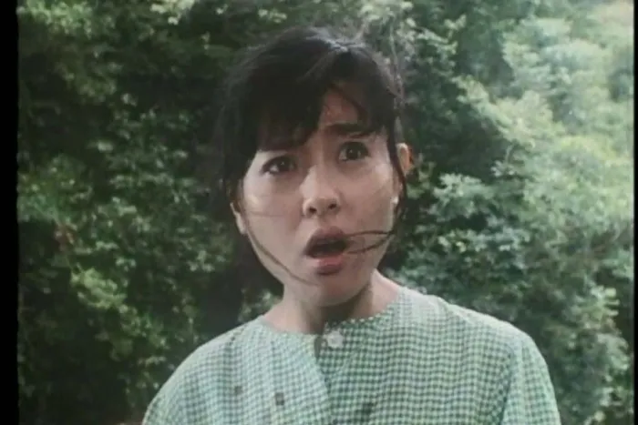 [1989][香港][追女重案组][粤语中字][MKV][1.44GB][百度盘]