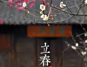 《这就是二十四节气》儿童绘本MP3全24集66.17M百度网盘下载-小文资源网
