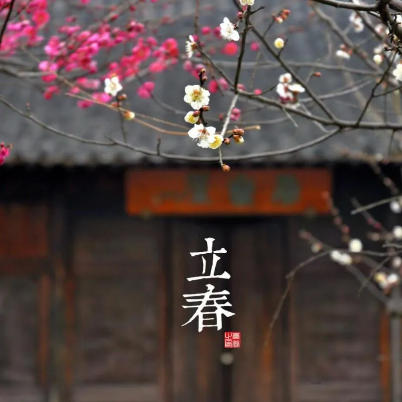 [儿童绘本]《这就是二十四节气》[MP3下载][全24集][66.17M][百度网盘]