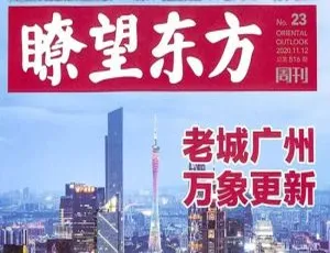 2020 年《瞭望东方周刊》电子文档资源合集，百度云网盘下载