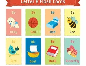 英语单词闪卡彩色版：43大主题 50MB 百度网盘资源 英文字幕