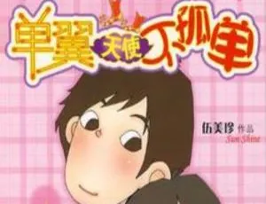 伍美珍《单翼天使不孤单》儿童文学MP3全10集56.6M百度网盘下载