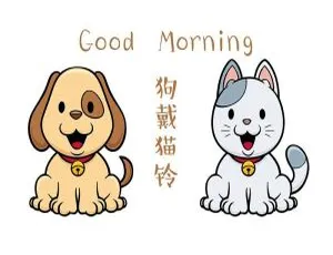 早教必听！《狗戴猫铃》754集MP3百度网盘3.23G免费下载-小文资源网