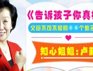 卢勤亲授：85 课育儿音频《告诉孩子你真棒》[MP3/322.77MB] 百度云网盘下载