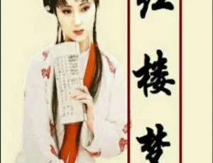 儿童文学《红楼梦》广播剧原声全24集MP3 170.46M百度网盘下载-小文资源网