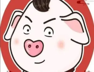 MP3 下载！全 25 集《猪屁登系列经典故事》，18.8M 百度网盘速取（儿童文学）-小文资源网