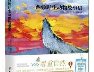 《西顿动物故事》儿童文学 MP3 全 12 集 80.46M 百度网盘下载-小文资源网