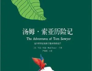 74集全！《汤姆·索亚历险记》儿童文学MP3 244.6M百度网盘下载-小文资源网