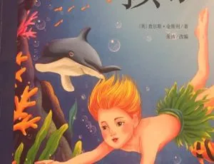 《水孩子》儿童文学MP3 25集全 63.38M 百度网盘下载-小文资源网