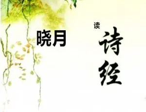 《晓月学国学】解读《诗经》7 全308集 952.2M 百度网盘 MP3 下载：儿童文学宝藏 》