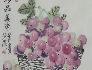 少儿版《西游记》若虹妈妈播讲 43 集全 276.6M 百度网盘 MP3 下载