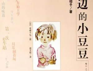 2Y+必听！《窗边的小豆豆》全23集MP3百度网盘下载（116.4M）-小文资源网