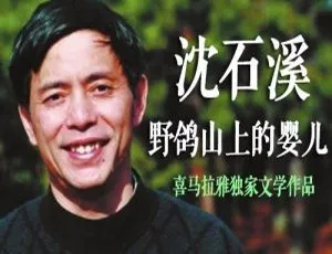 沈石溪《野鸽山上的婴儿》儿童文学MP3 44集全 300.65M 百度网盘下载