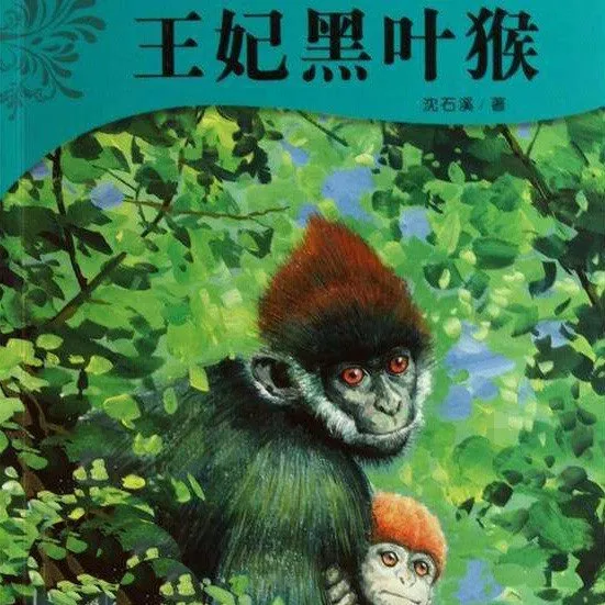 [儿童文学]《沈石溪：王妃黑叶猴》[MP3下载][全43集][245.99M][百度网盘]