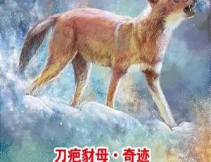 沈石溪《刀疤豺母》儿童文学 MP3 全 32 集 162.87M 百度网盘下载-小文资源网