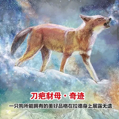 [儿童文学]《沈石溪：刀疤豺母》[MP3下载][全32集][162.87M][百度网盘]