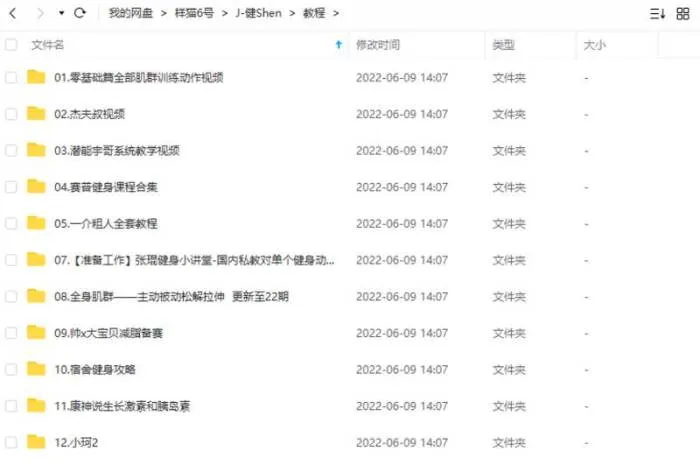 健身教程-淘宝价值5000元的全套健身减肥运动视频教程合集[FLV/MP4/75.95GB]百度云网盘下载