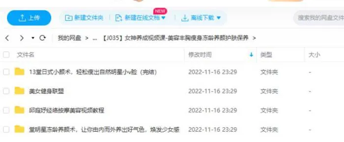 [女神养成视频课][美容丰胸瘦身冻龄养颜护肤保养视频合集][FLV/MKV/MP4/7.10GB]百度云网盘下载