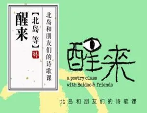 必看！102节《醒来：北岛和朋友们的诗歌课》MP3音频资源 百度云网盘下载 助你个人提升-小文资源网