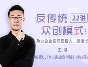 王挺反传统众创模式 22 讲视频课程百度云网盘下载（MP4/PDF/2.37GB）-小文资源网
