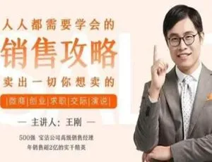 人人必学！卖出一切的销售攻略视频+课件合集 2.05GB 百度云下载