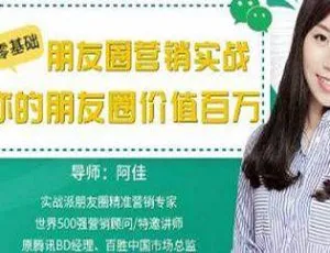 零基础朋友圈营销实战：让朋友圈价值百万 视频百度云盘下载（MP4/763.70MB）-小文资源网
