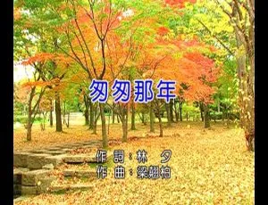 王菲《匆匆那年》2014 内地国语 MPG 版 198MB 高清 MV 百度网盘资源-小文资源网