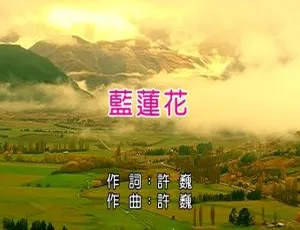 许巍经典《蓝莲花》国语 MV 2002 内地版 246MB 百度网盘下载-小文资源网
