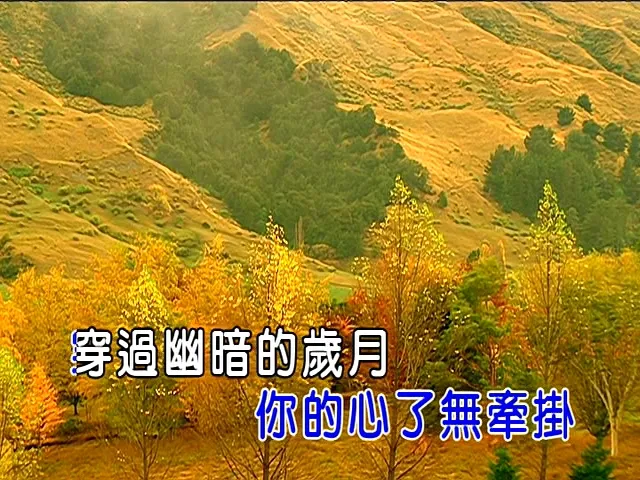 [2002][内地][国语-MV][许巍-蓝莲花][MPG][246MB][百度网盘]