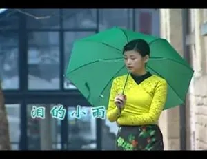1989 内地国语版罗时丰《泪的小雨》MV 138MB 百度网盘资源-小文资源网