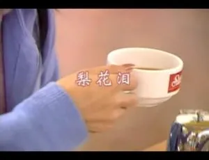 1999 内地国语MV：罗时丰《梨花泪》114MB 百度网盘资源-小文资源网