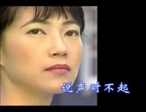 罗时丰《说声对不起》2003 内地国语 MV 108MB 百度网盘资源-小文资源网