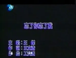 内地经典！2003 王杰《忘了你忘了我》国语 MV 159MB 百度网盘资源-小文资源网