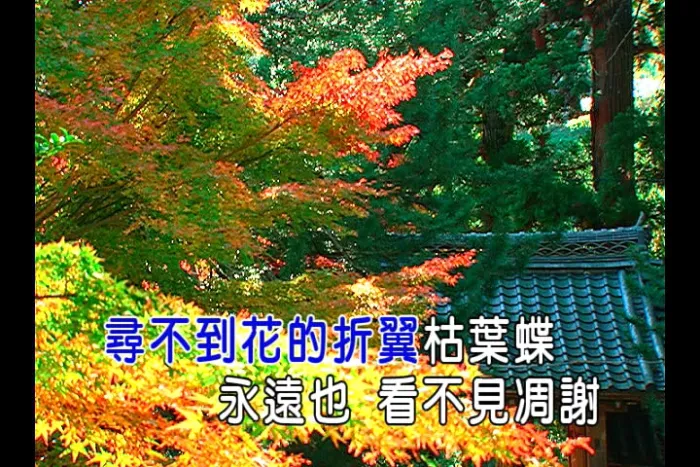 [2007][内地][国语-MV][许嵩-断桥残雪][MPG][240MB][百度网盘]