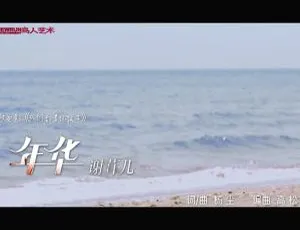 谢容儿《年华》内地国语MV 2010版 165MB百度网盘资源-小文资源网
