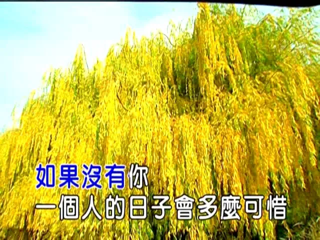 [2013][内地][国语-MV][赖雅妍-如果没有你][MPG][208MB][百度网盘]