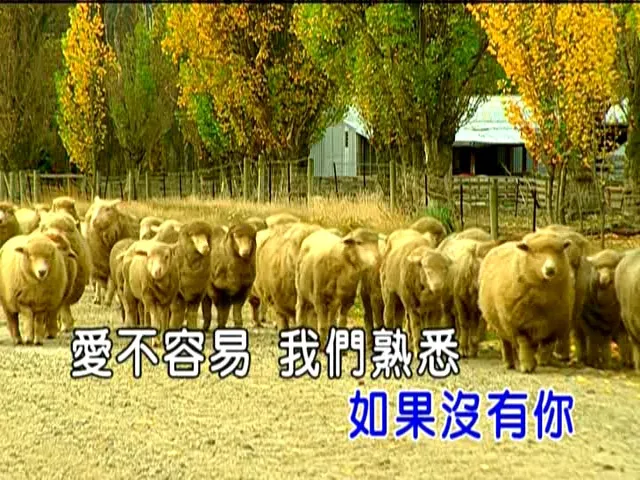 [2013][内地][国语-MV][赖雅妍-如果没有你][MPG][208MB][百度网盘]