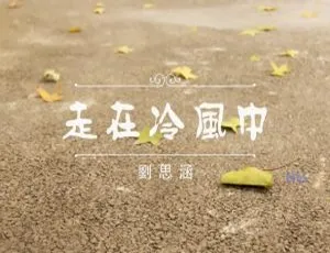 刘思涵《走在冷风中》2013内地国语MV 400MB百度网盘资源-小文资源网