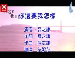 2013内地国语MV 薛之谦《你还要我怎样》433MB百度网盘资源-小文资源网