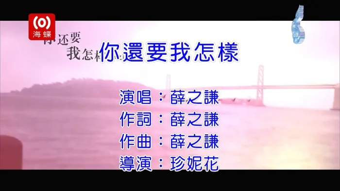 [2013][内地][国语-MV][薛之谦-你还要我怎样][MPG][433MB][百度网盘]