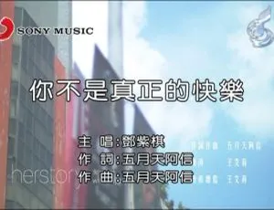 2015 内地邓紫棋《你不是真正的快乐》国语 MV 171MB 百度网盘下载-小文资源网