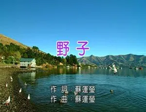 2015内地国语MV 苏运莹《野子》212MB百度网盘资源-小文资源网