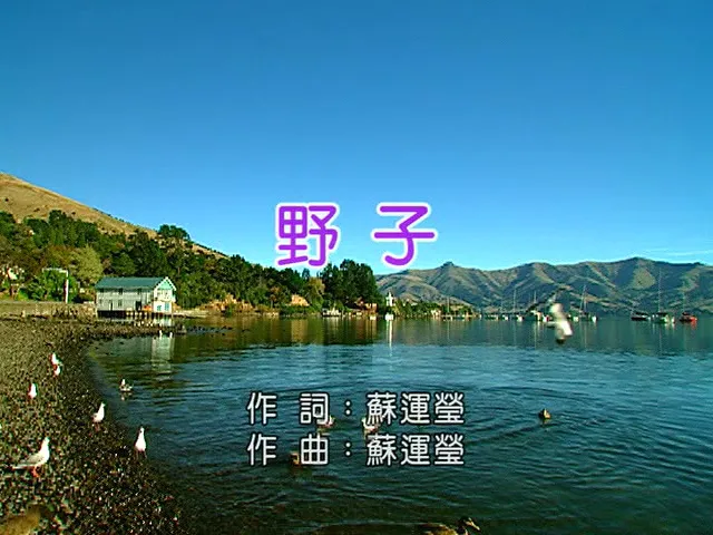 [2015][内地][国语-MV][苏运莹-野子][MPG][212MB][百度网盘]