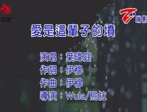 内地叶玮庭《爱是这辈子的坟》2016 国语 MV 151MB 百度网盘资源