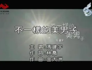2017内地冯建宇《不一样的美男子》国语MV 113MB百度网盘资源