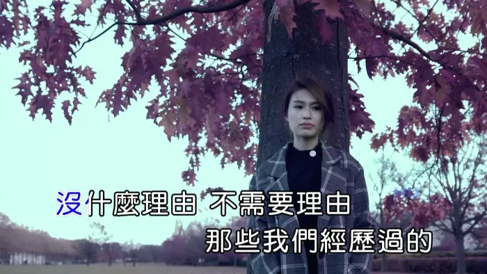 [2017][内地][国语-MV][黄若熙-获得][MPG][443MB][百度网盘]