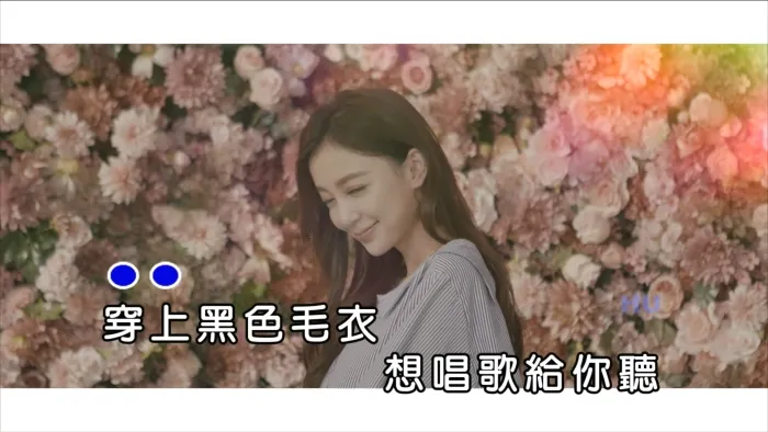 [2017][内地][国语-MV][柯有伦&汪小敏-巧柯力][MPG][465MB][百度网盘]